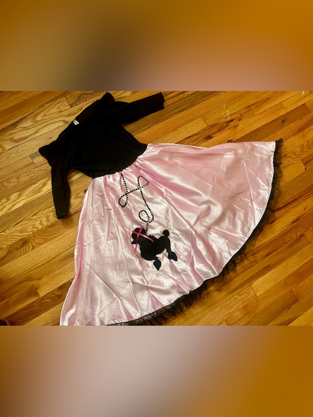 Girls dress Skip Bop 50s Pink Poodle Skirt Costume with Black Top Large 12-14